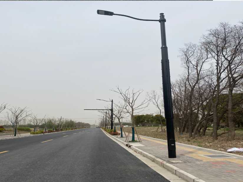 中站区上海综合杆 太阳能路灯工程
